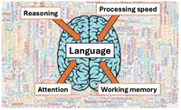 Individual Variability in Language Processing