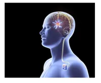 Voice and Speech Problems in Parkinson’s Disease